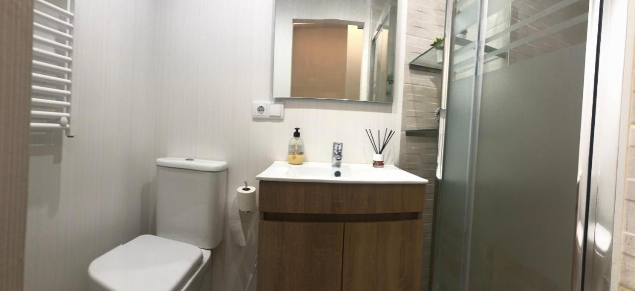Alojamientos Castellana Jardin 1 Y 2 Parking Y Piscina Gratis!! Burgo Zewnętrze zdjęcie